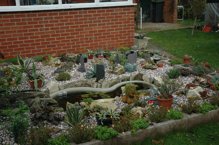 DSC_1073 - Rockery