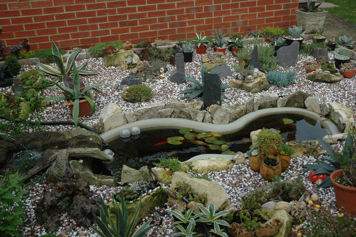 DSC_1074 - Rockery