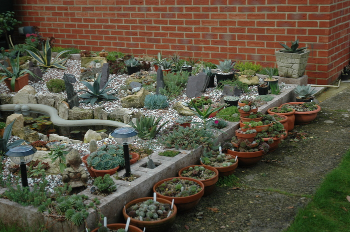 DSC_1079 - Rockery