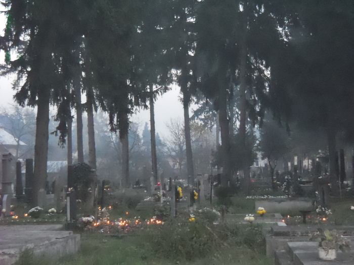 Picture 019 - In memoriam celor disparuti