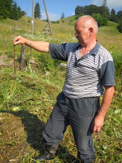 "Serpar" principal - TUDORGHEORGHE SI ALTE MESERII