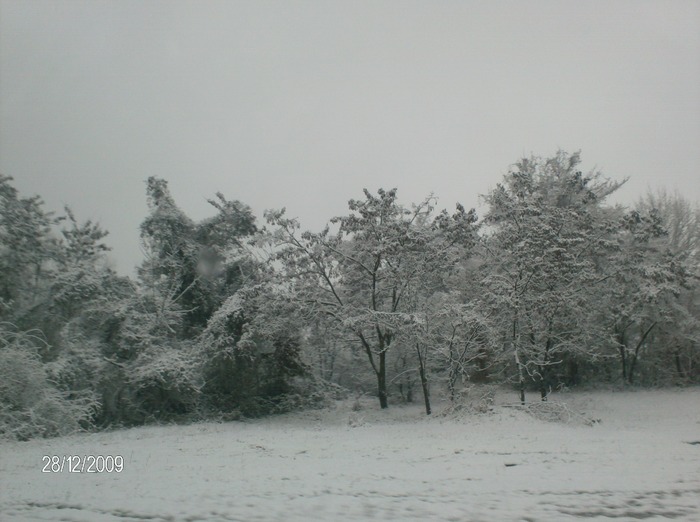 iarna; iarna pe pitris, maramures
