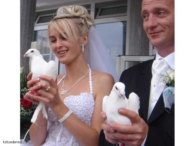  - porumbei albi pentru nunti