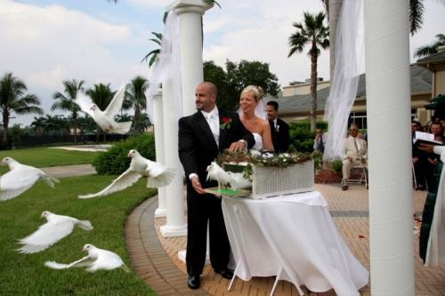  - porumbei albi pentru nunti