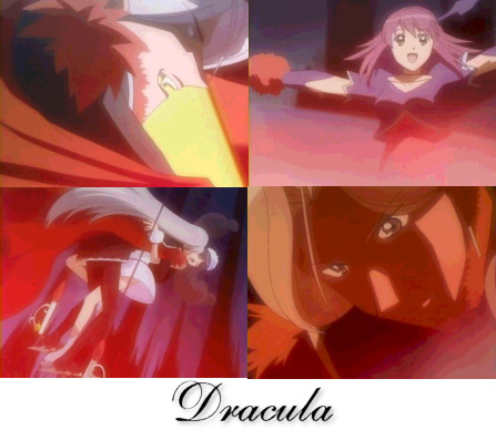 Dracula - Show