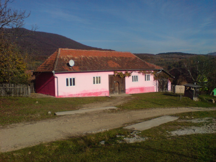 DSC04385 - NADALBESTI