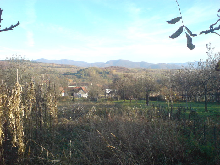 DSC04404 - NADALBESTI