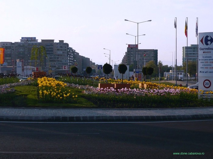 P1010454 OK - bv - view