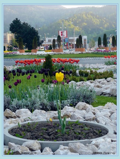 P1010471 OK - bv - view