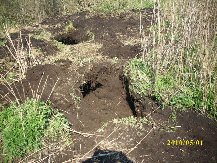 Aga-As Von Hertelend - Aga-As Von Hertelend