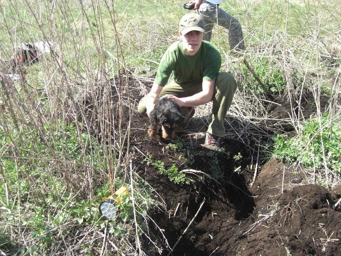 Babolnai Rozsaerdei Vadasz Bessi