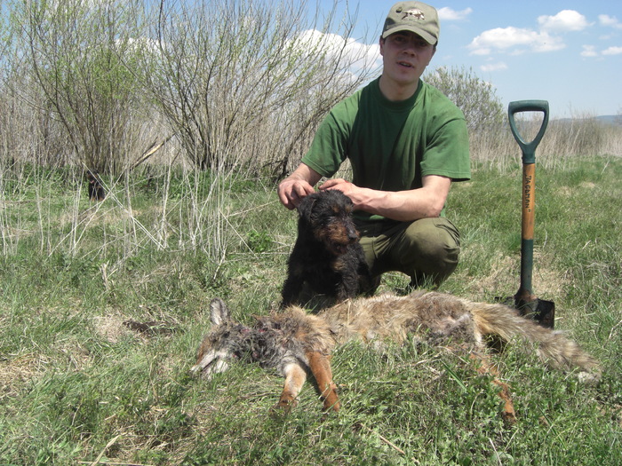 Babolnai Rozsaerdei Vadasz Bessi