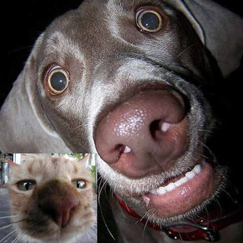 image_122448993338441200_1