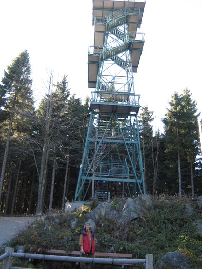 böhmerwald -vedere panora -cehia