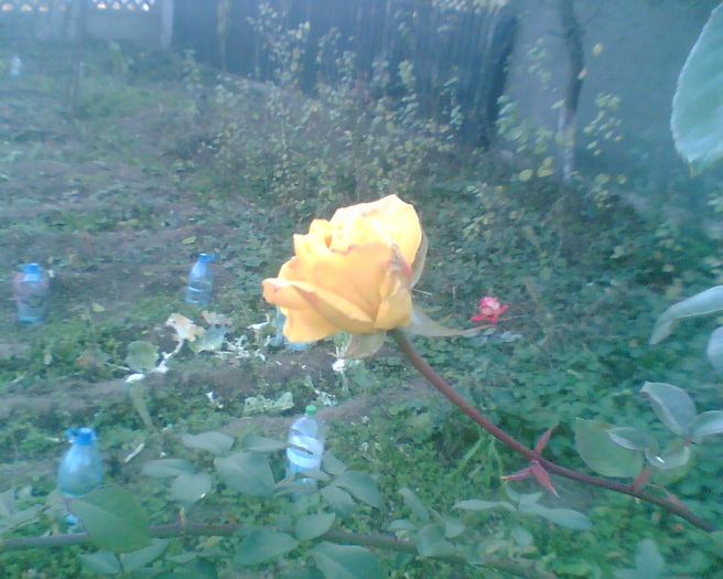 Imag031