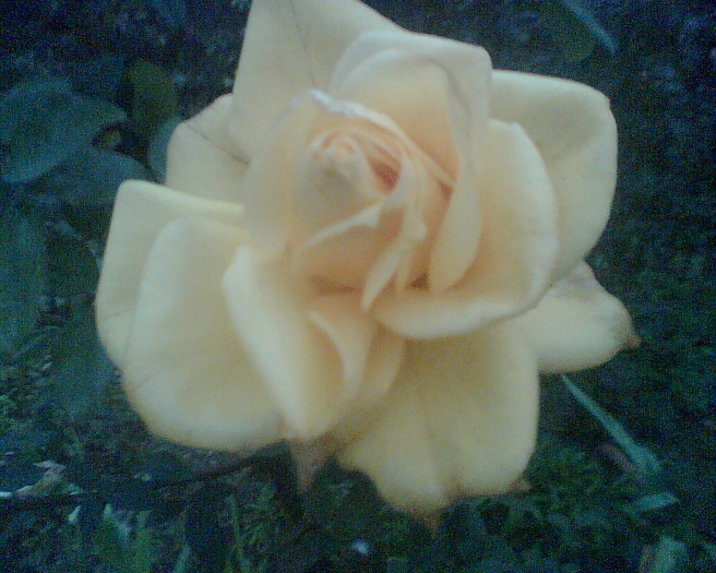 Imag001