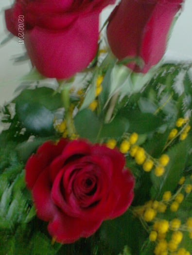 1martie2010
