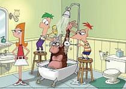 phineas si ferb (1)
