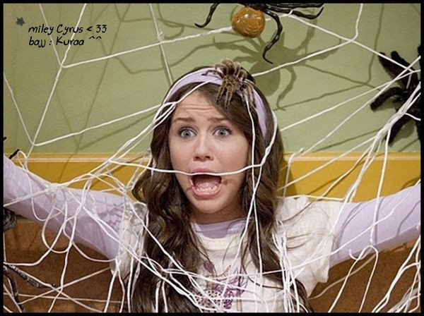 0075445189 - Toate Pozele Mele Cu Miley