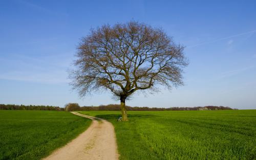 Imagini Peisaje de Vara Poze Frumoase - Natura