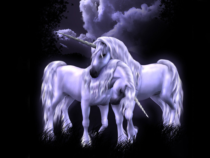 poze_unicorn[2] - Imagini cu cai