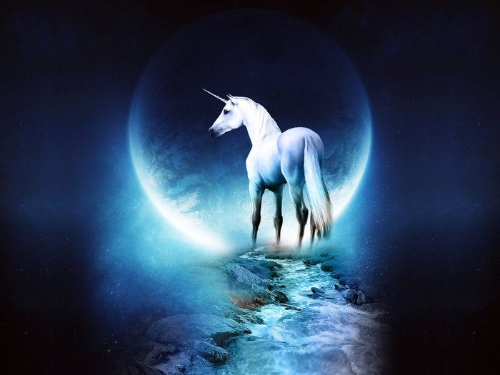 wallapper_unicorn[1] - Imagini cu cai