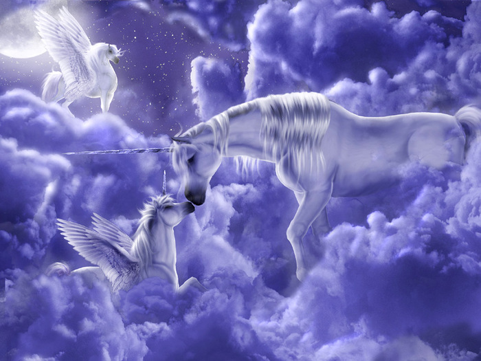 unicorn_wallpapers_3[1] - Imagini cu cai