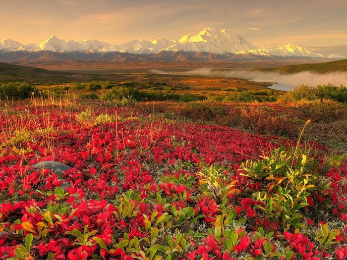 Spring_Landscape_1024 x 768[1] - Flori