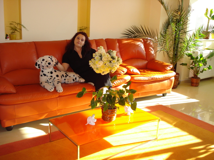 CU OCAZIA SF. MIHAIL SI GAVRIL! - EU