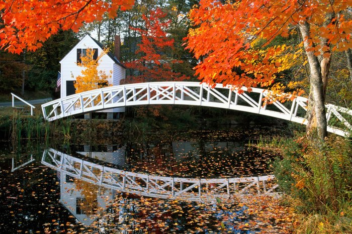 Autumn Crossing, Hancock County, Maine[1] - Peisaje naturale