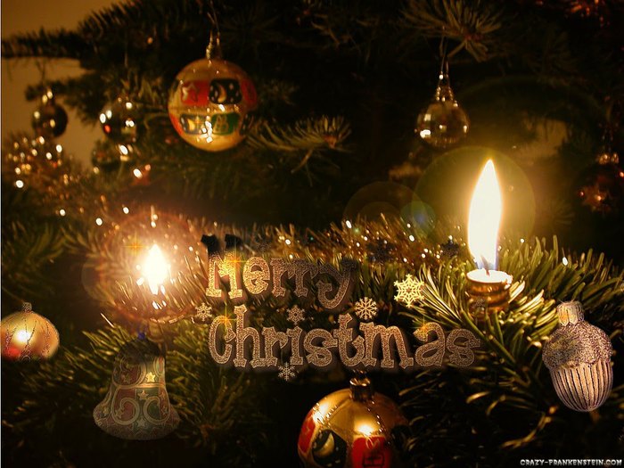 christmas-ornament-decorations - Iarna