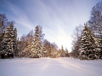15 - Iarna