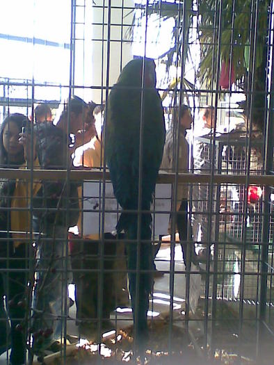 Imag048 - expo galati 06-11-2010