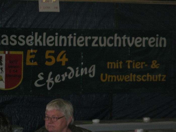 ausstellung-nov -Eferding-expo - E-54-nov --2011-2012-2013-2014