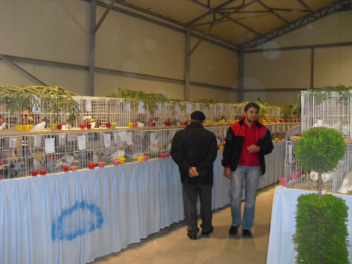 CIMG0822 - 7 EXPO GALATI 06-11-2010