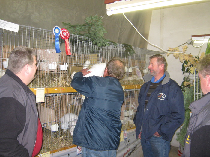 ausstellung-nov 161