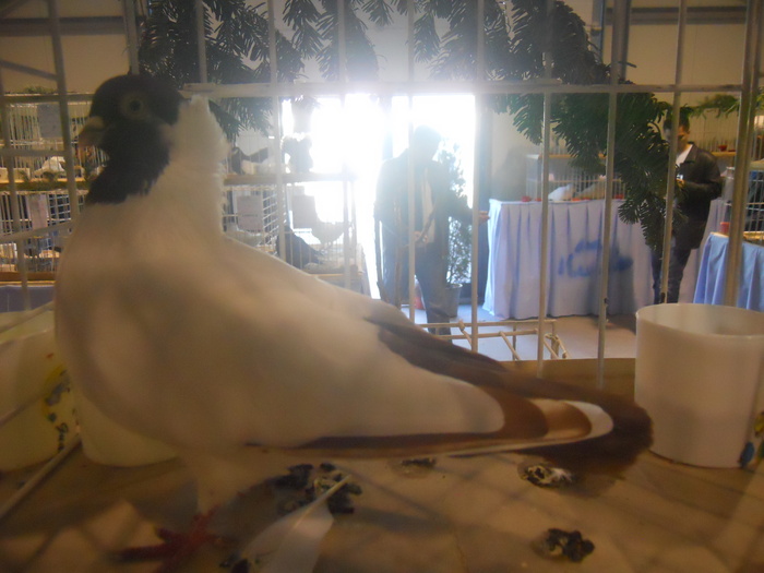 DSCN0233