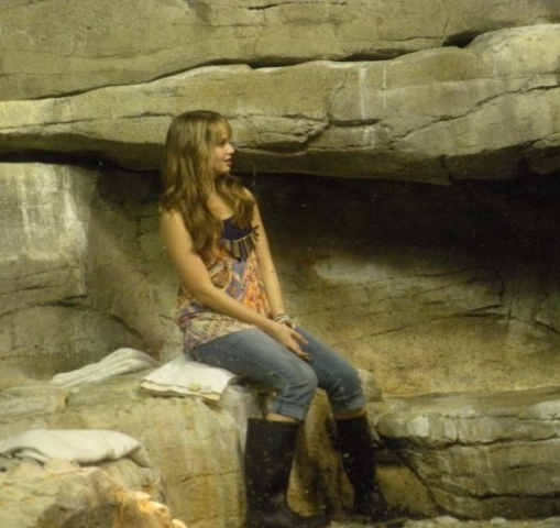 normal_DRHQPenguin_(8)