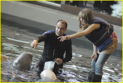 normal_DRHQPenguin_(14)