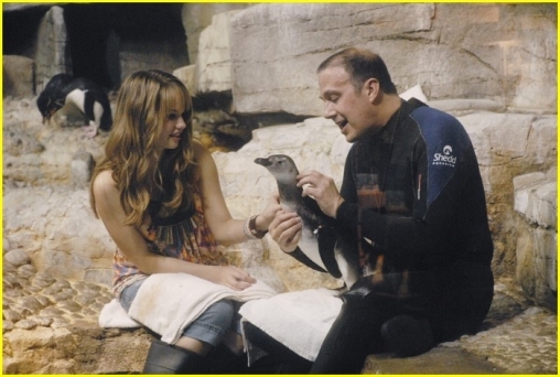 normal_DRHQPenguin_(18)