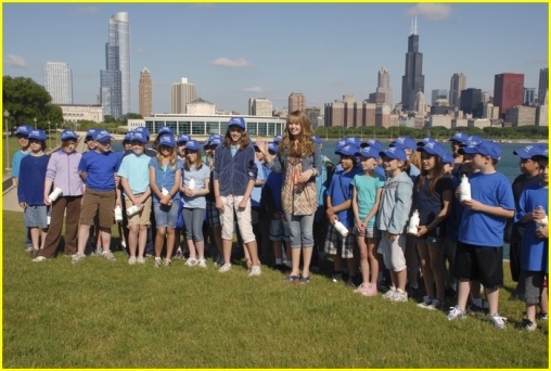 normal_DRHQPenguin_(19)