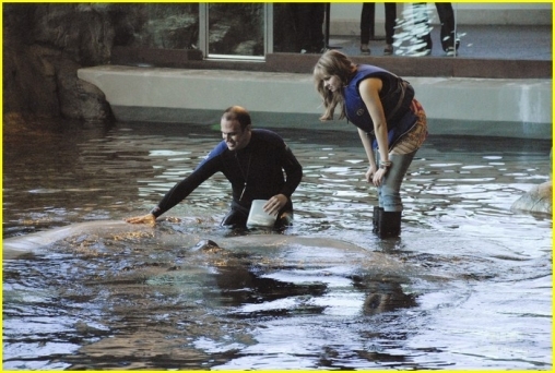 normal_DRHQPenguin_(23)