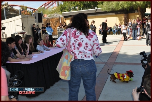 normal_pinksopening036