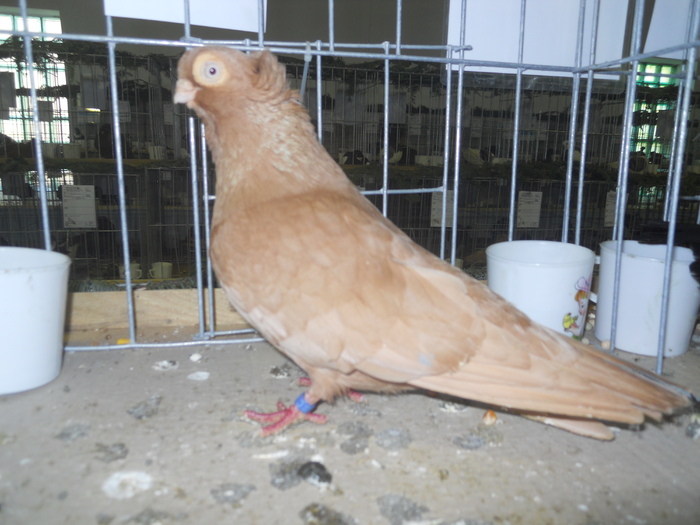 DSCN0345