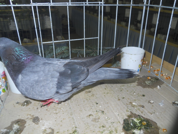 DSCN0351