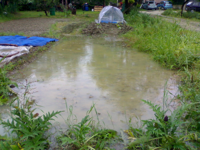 Mai mult lut dacat pamant