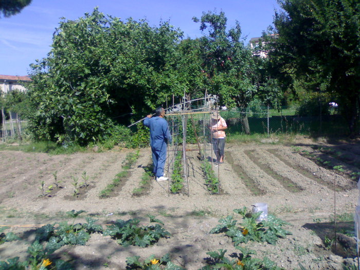 Giovanni si Pina la castraveti