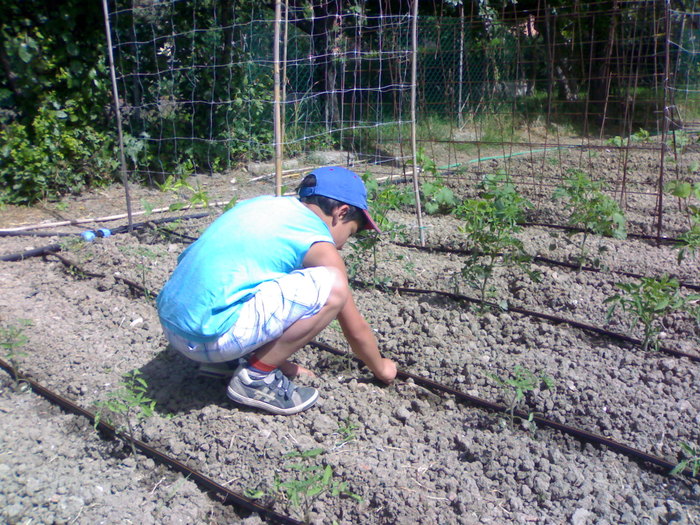 Si Fabio ajuta - Gradina la Rimini 2010