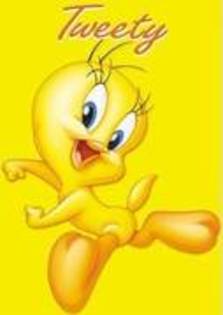 tweety 1 (3) - poze cu tweety