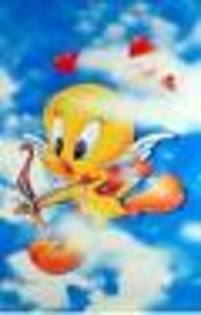 tweety 1 (4)